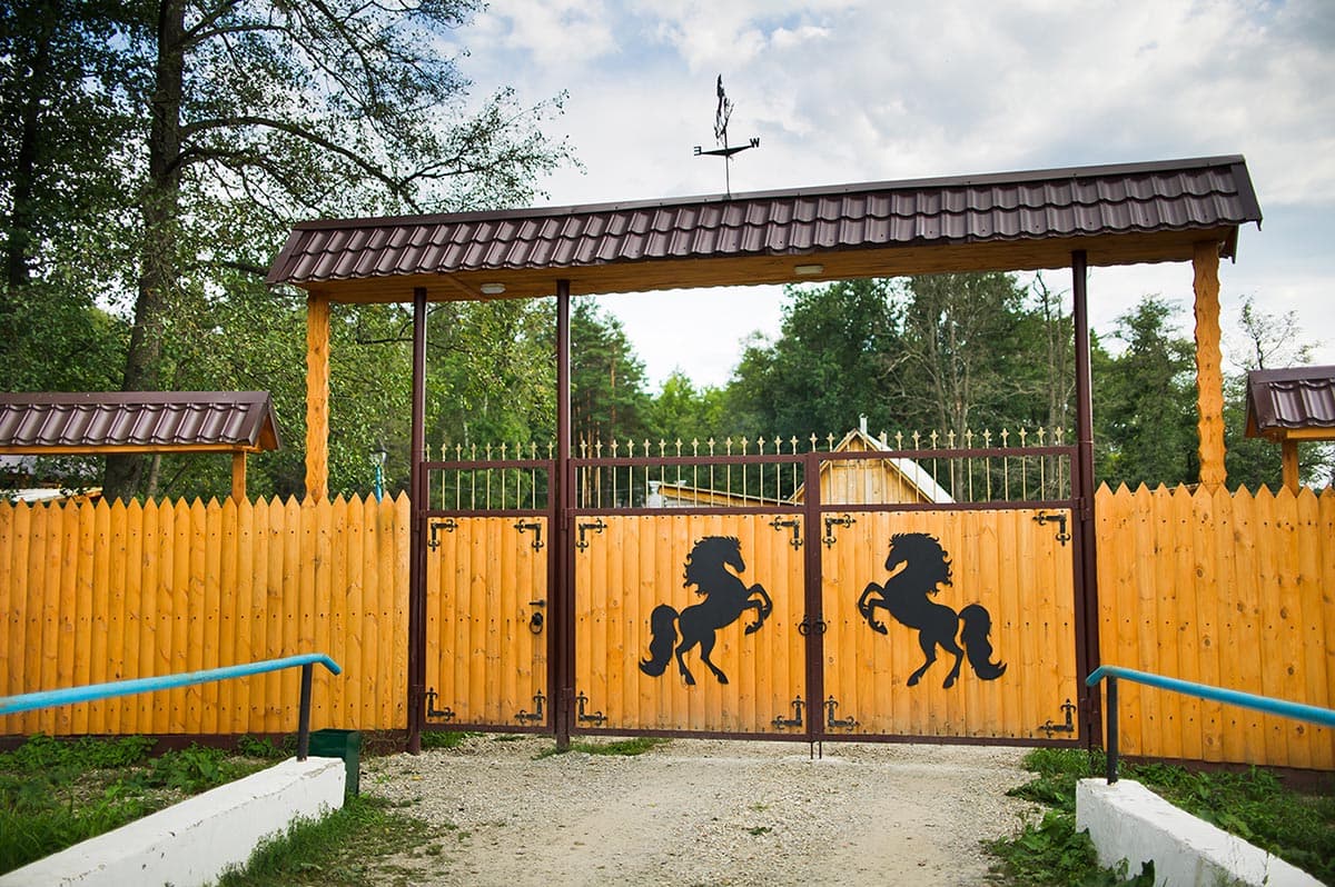 Лес и водохранилище