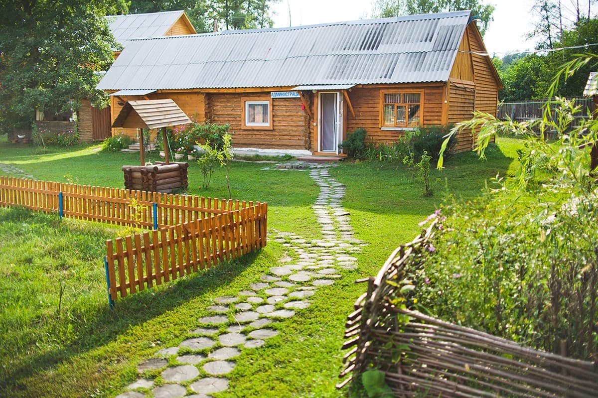 Лес, лошади и водохранилище в Золотарёвке