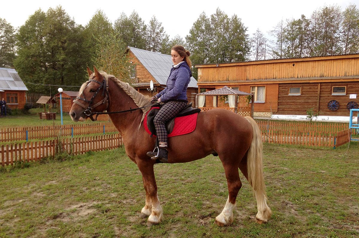 Добрый Гранд · мерин