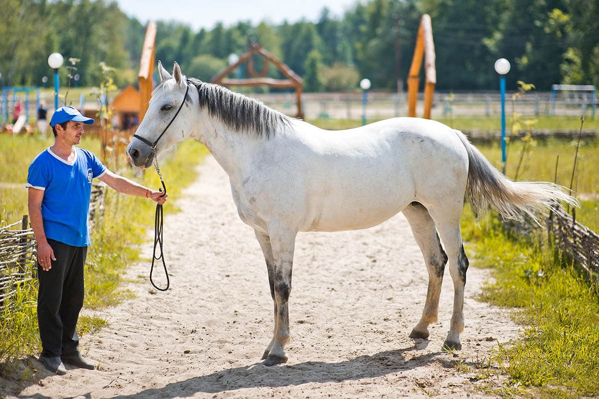 Популярная Полина