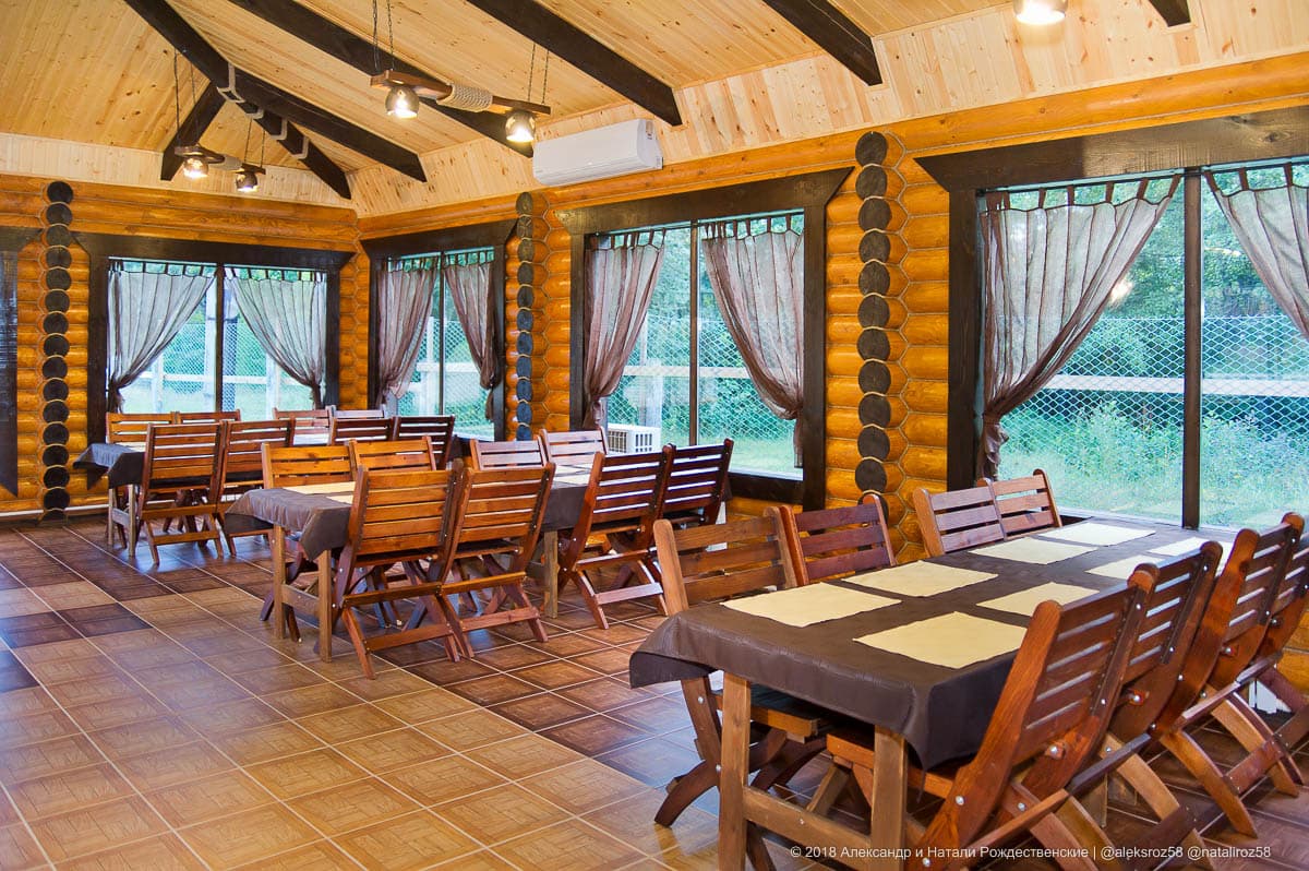 Подача блюд